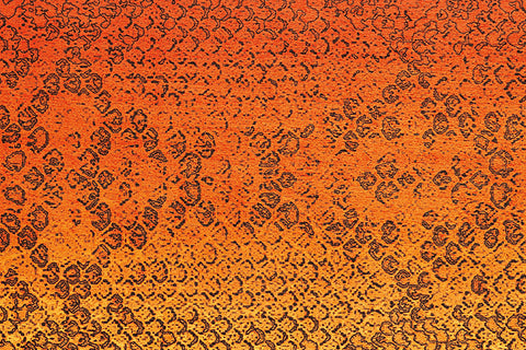 Design-Teppich Flash 2708 Orange Makro